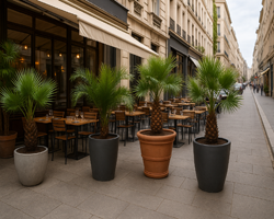 Jardin urbain : mettre en valeur les plantes avec de grands pots dco